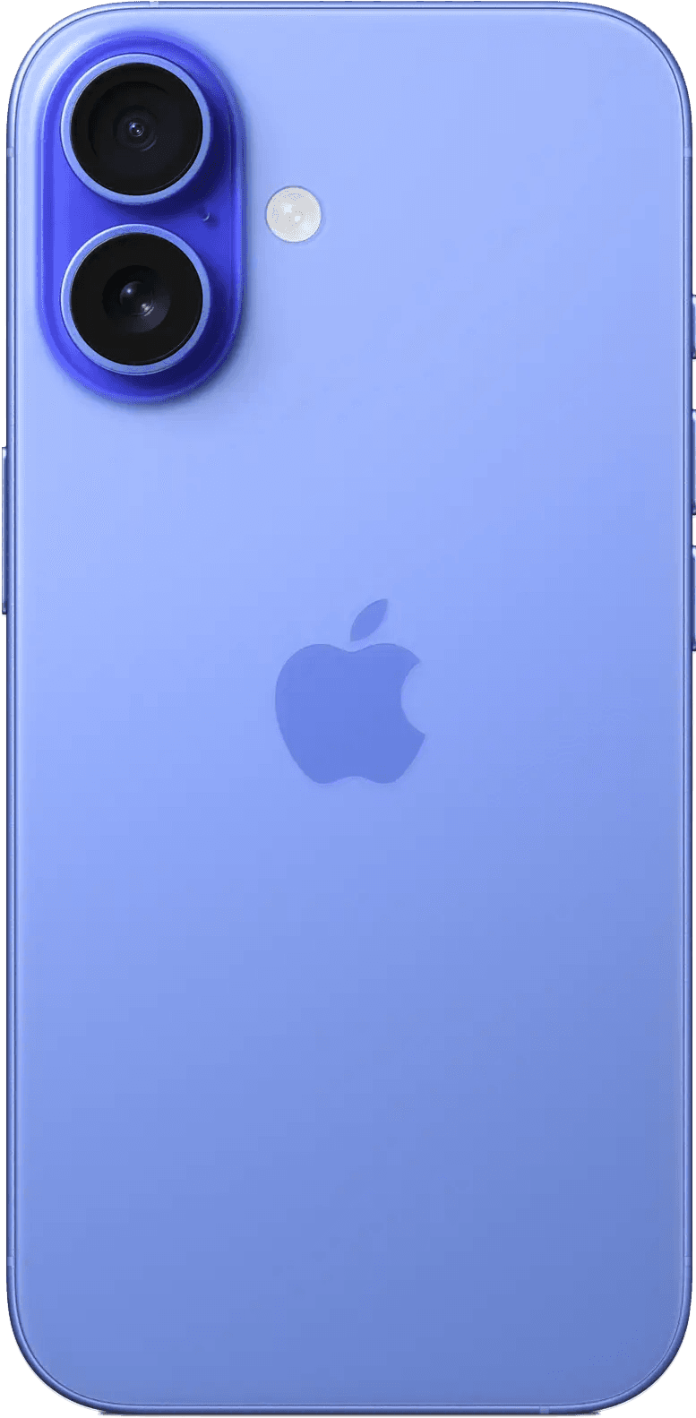 Apple iPhone 17 256GB Mist Blue (Activated)